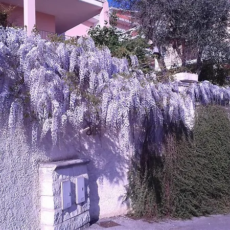 Le Musette Bed & Breakfast Pescara