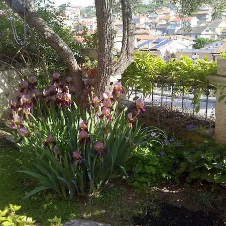 Le Musette Bed & Breakfast Pescara